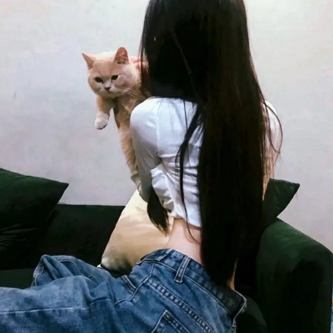 后备计划